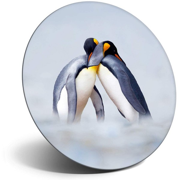 Destination Vinyl ltd Magnet for Refrigerator, Fridge - Cute Penguin