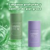 Mascarilla Stick Verde Berenjena Anti