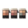 Lunasol Eye Coloration N 01 [Eye Shadow]