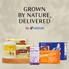 Umeken Takumi Stock Powder, Dashi Japanese Packets for Flavoring your