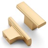 Amerdeco 20 Pack Brushed Gold Cabinet Knobs 2 Inch (50MM)