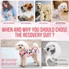 Nasjac Recovery Suit for Dogs - Zipper on Recovery Suit
