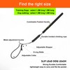 BeauGo Slip Leads for Dogs,Top Speed Training Dog Leash, 2-in-1
