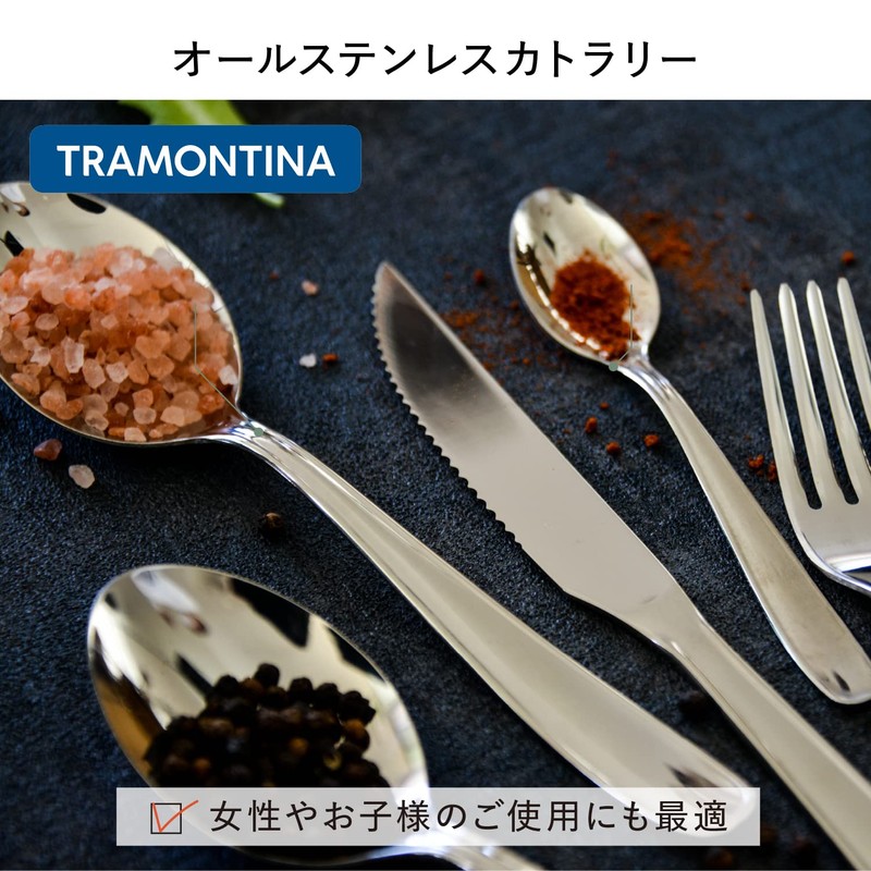 Tramontina 66902/071 Teaspoon, Malaysia, 5.1 inches (13 cm), Set of