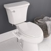 Bemis WS100 000 Wellspring Bidet Attachment, Fresh Water Spray, Non