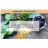 Mulberry Leaf Powder - Mulberry Leaf Extract - All-Natural Raw