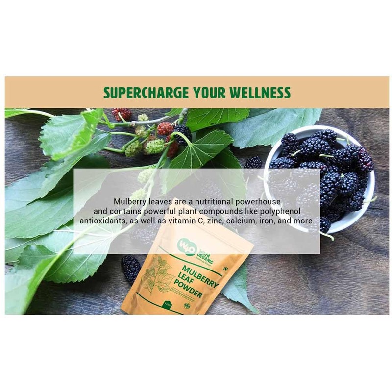 Mulberry Leaf Powder - Mulberry Leaf Extract - All-Natural Raw