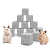 Hamiledyi 12 PCS Chinchilla Chew Toys Lava Blocks Hamster Chew
