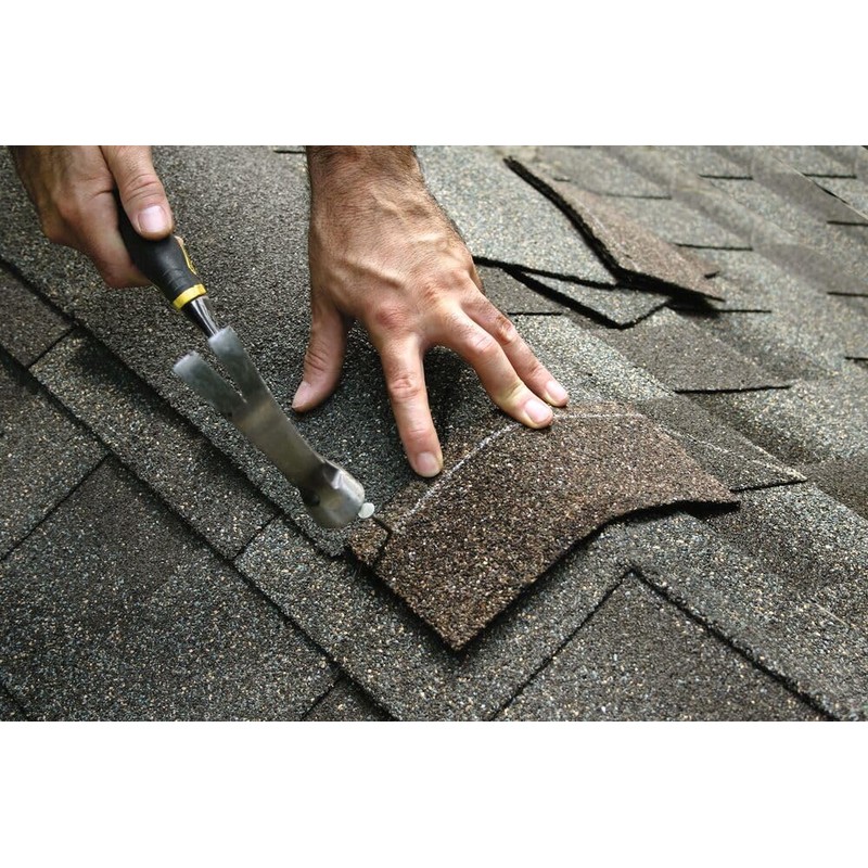 Grip Rite 112EGRFG10BK 1-1/2-inch Electro Galvanized Smooth Shank Bulk Roof