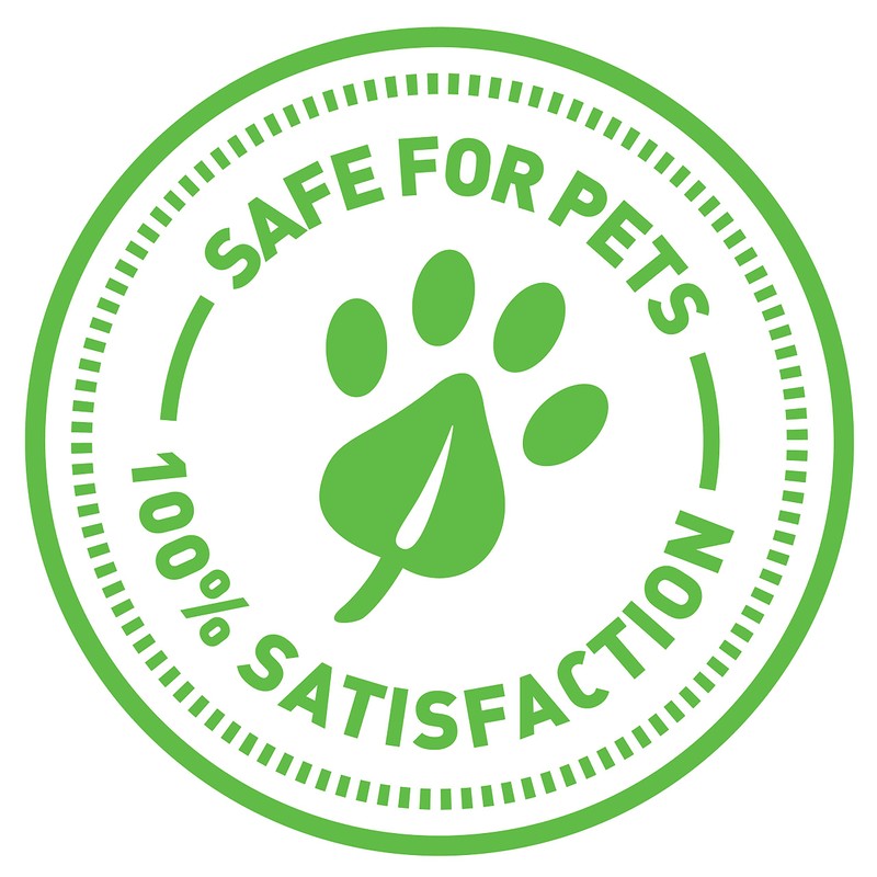 SmartyKat Chit Chatter Electronic Sound Cat Toy, Battery Powered -