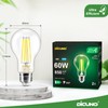 DiCUNO Edison LED Bulb E27, Classic Ultra Efficient Bulb, A