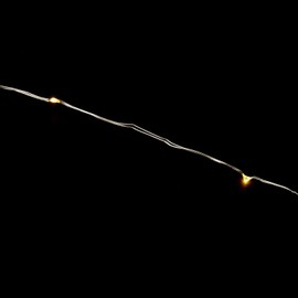 Product Works Battery Operated Silver Wire Indoor and Outdoor LED Light String, Warm White 20'