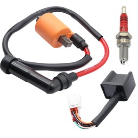 XQSMWF Ignition Coil CDI Spark Plug Compatible with Yamaha Timberwolf 250 Compatible with Bear Tracker YFM250 4BD-85540-10-00