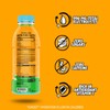 GHOST Hydration Drink Orange Squeeze - RTD Sports Drinks with