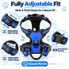 Adjustable Reflective Dog Harness for Daily Walks – Soft Breathable