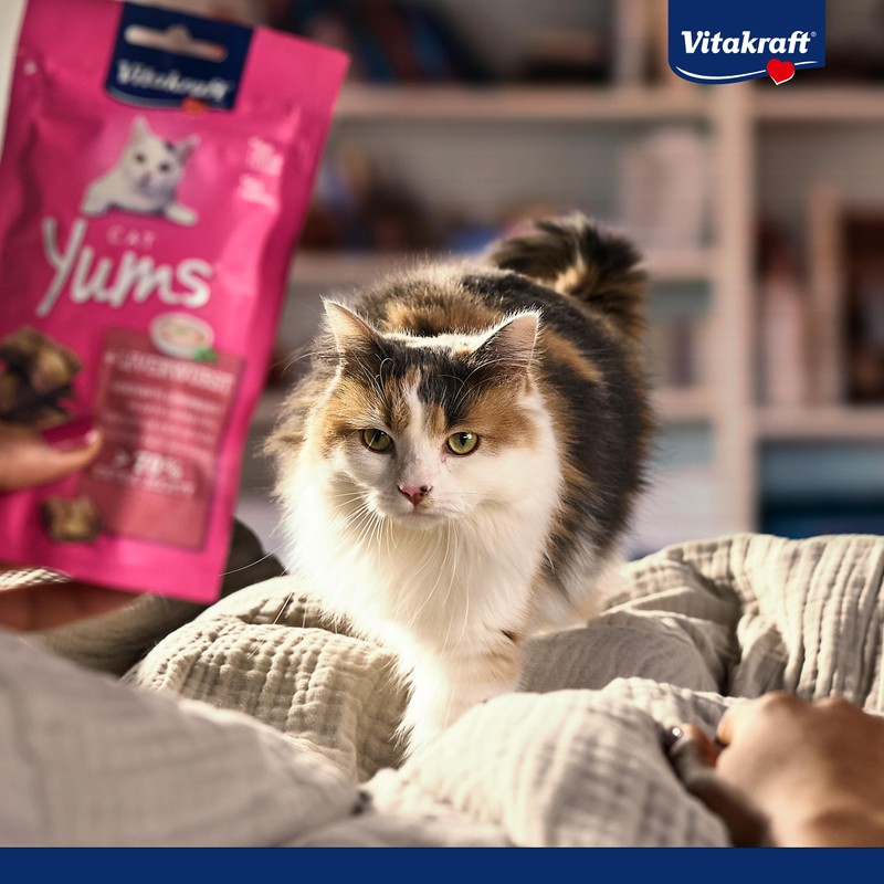Vitakraft Cat Yums Chicken / Catnip 40 g