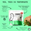 Canary Nano Hydroxyapatite Toothpaste Tablets Coconut Mint - Remineralizing, Fluoride