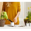 D'vine Dev 12 Pack 3 Inch Mini Plastic Plant Pots,