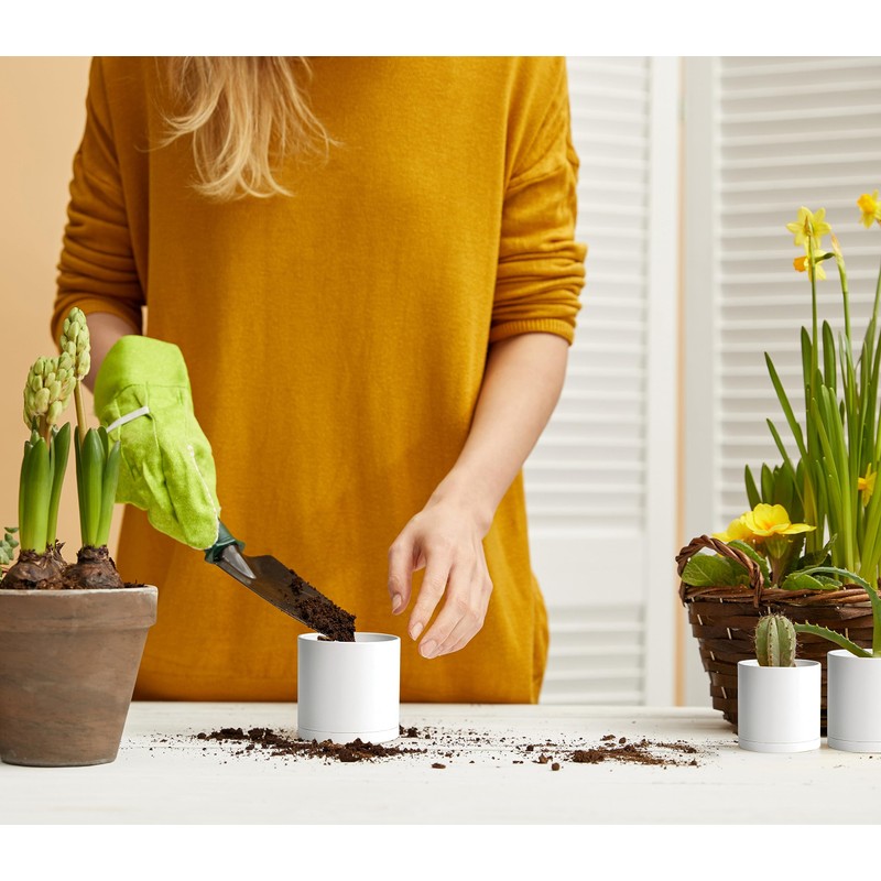 D'vine Dev 12 Pack 3 Inch Mini Plastic Plant Pots,