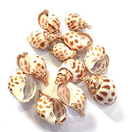 QSLLER 15pcs Natural Shell Pendants,Spiral Shell Pendants Conch Shell Beach Cowrie Sea Shells Charms Jewelry Charms Ocean Beach Dangle Beads