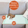 Caring Disposable Underpads, Pet Pee Pads for Potty Training, Moderate