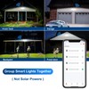 EMANER Smart Security Light Motion Sensor, Work with Alexa/Google Home,