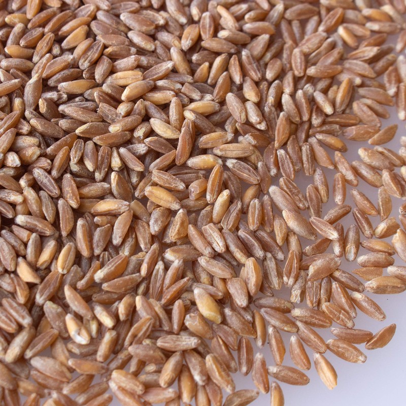 Organic Pearled Emmer Wheat - AKA: True Farro - 1