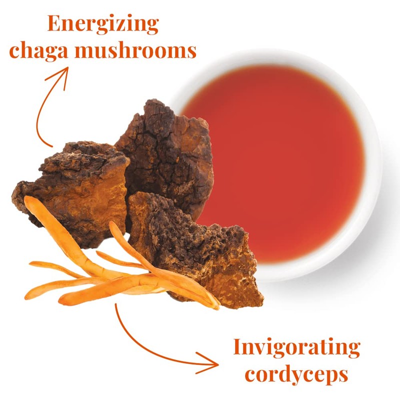 The Republic of Tea - Burnout Blocker SuperAdapt Tea, 36