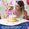 Dog Birthday Bandana Set, Dog Cat Birthday Party Supplies Boy