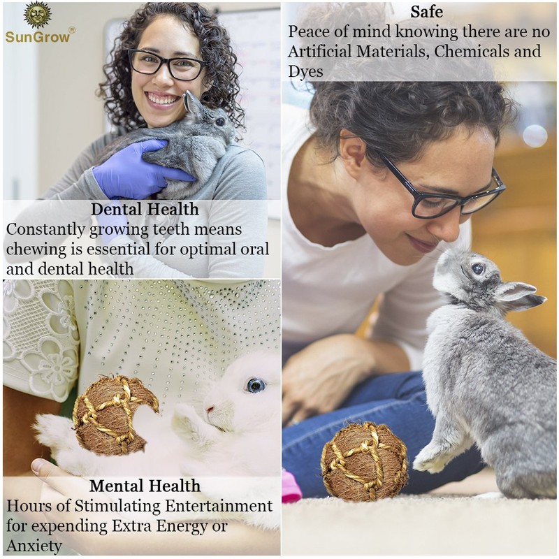 SunGrow Rabbit Teeth Floss Ball, 2”, Coco Fiber Chew Ball,