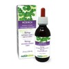 Naturalma Moringa (Moringa oleifera or Moringa Aptera) Leaf Alcohol-Free Tincture