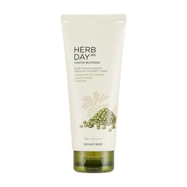 The Face Shop Buy The Face Shop Herb Day 365 Master Blending Mungbean and Mugwort Facial Foaming Cleanser Online