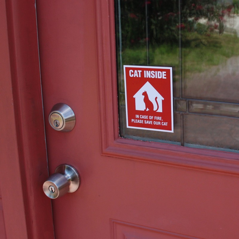 Cat Inside Sticker - 4 Pack - 4x5 inches -