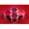 Nail Factory Polvo Acrílico Oh My Love & Goldness Collection