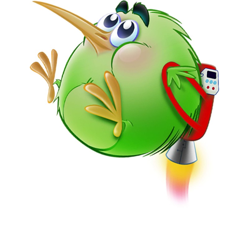 Flying Kiwi