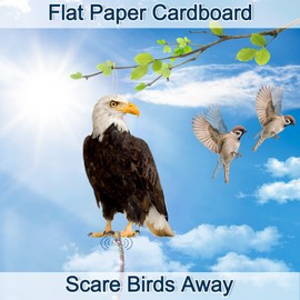 Kungfu Mall 4PCS Fake Owl to Scare Birds Away, Cardboard Reflective Hanging Decoration, Flat Paper Effective Bird Control Device to Scare Pigeons Away from Garden Patio Windows Tree