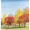 Noren Workshop Noren Scenery Scenery Autumn Maple Leaves Rows Tapestry