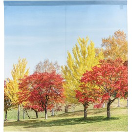 Noren Workshop Noren Scenery Scenery Autumn Maple Leaves Rows Tapestry Poster Backdrop Art 85x90cm Width 21561