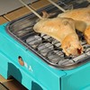 Charcoal Grill Single Use Compact Detachable Stainless Steel Portable Barbecue