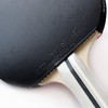 Palio Expert 3.0 Table Tennis Bat & Case | ITTF