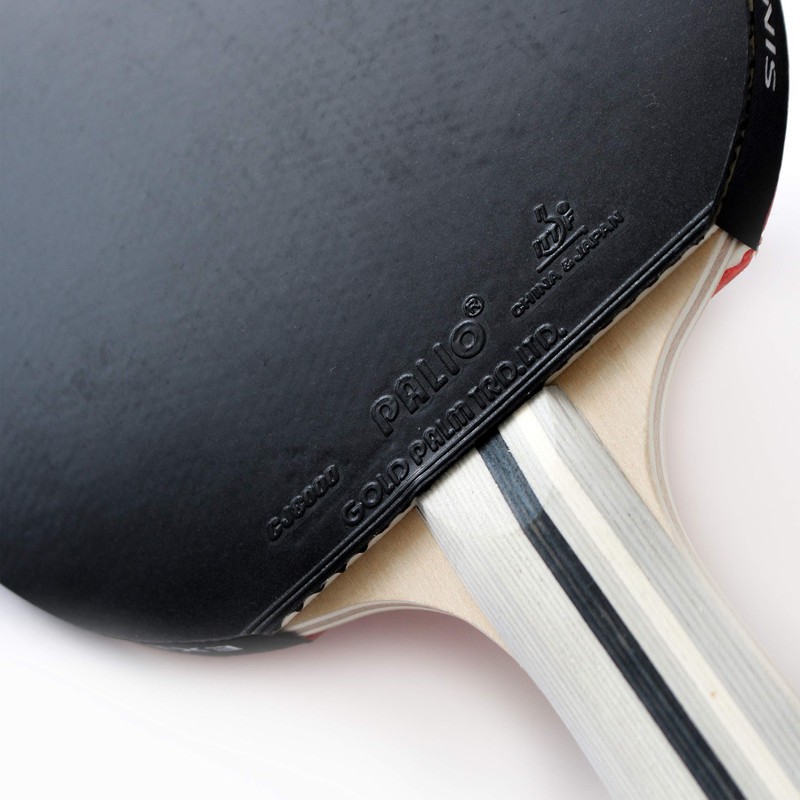 Palio Expert 3.0 Table Tennis Bat & Case | ITTF