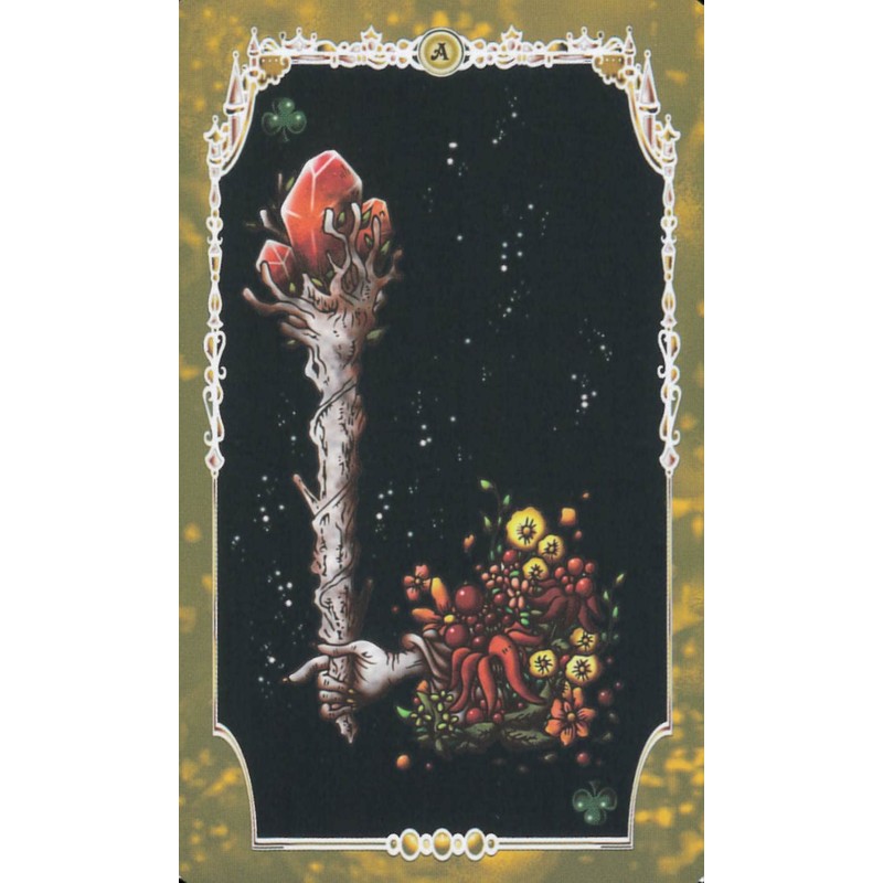 Story's ~Slippers Telling ~ Tarot Marseille