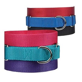 Guardian Gear Asst Color Bulk Martingale Dog Collars Shelter Rescue Litter Pick Size/Quantity (10-16 Inch 20 Collars)