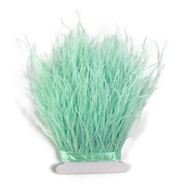 wangruida 9ft 10-15cm Mint Green Ostrich Feathers Trim Fringe for DIY Dress Sewing Craft Costumes Decoration