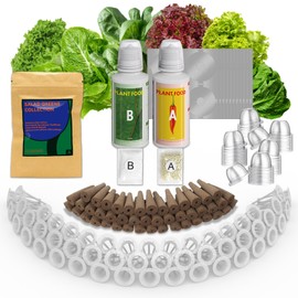 inbloom Salad Green Seed Pod Kit for AeroGarden, Ahopegarden, GARDENCUBE, MUFGA, 50 Pods (350+ Seeds with American Fast/Paris Island/Buttercrunch Lettuce, Swiss Chard, Spinach, Cauliflower, Cabbage)