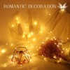 Dumcuw Bottle Lights, 20 LED Fairy Lights Battery Operated USB