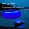 Vcanuplms LED Boat Interior Lights, 11.8 Inch Blue Colour Marine