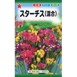 Tohok Corporation Starch (mixed) 09230