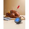 Sanwo WiFi Meat Thermometer with 2 Probes, Digital Wireless Instant