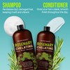 MYSTÈRE BEAUTÉ Rosemary Chelating Shampoo and Conditioner Set – Sulfate